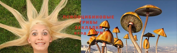 спиды Абинск