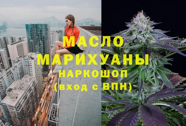 мет Алексин