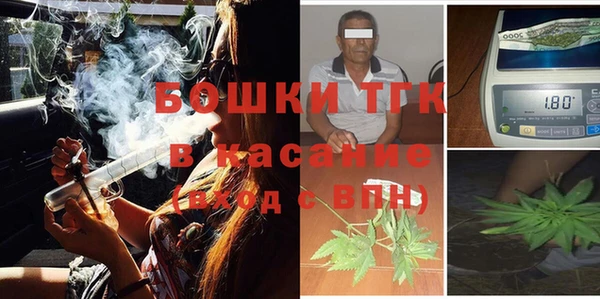мет Алексин