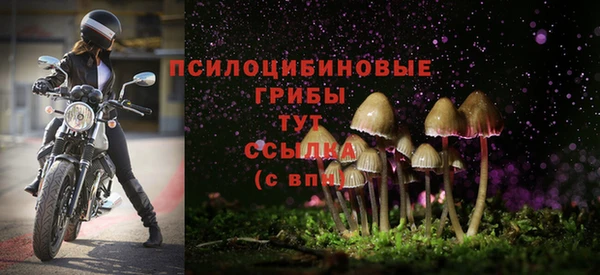 хмурый Алексеевка