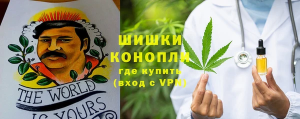 стаф Абаза