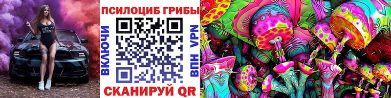 Галлюциногенные грибы мицелий  omg как зайти  Инсар 